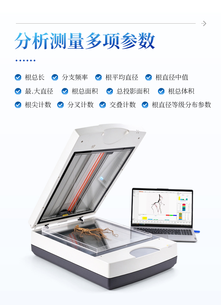 根系分析系统 根系分析系统