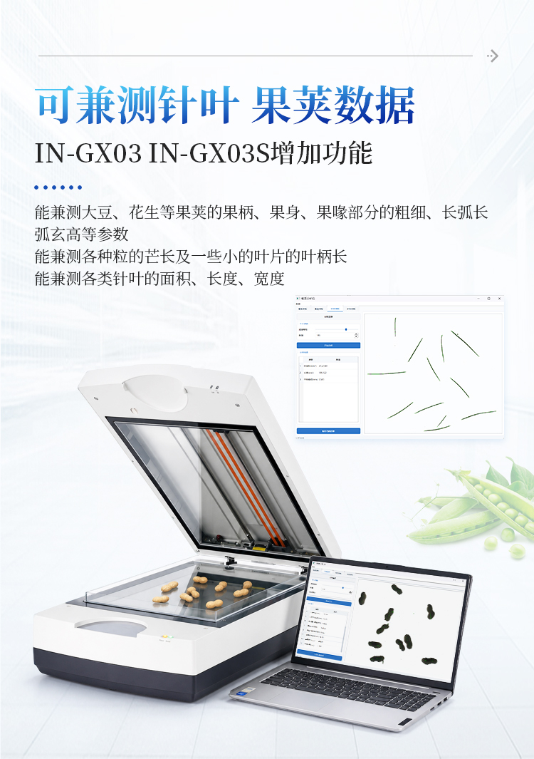 根系分析系统 根系分析系统